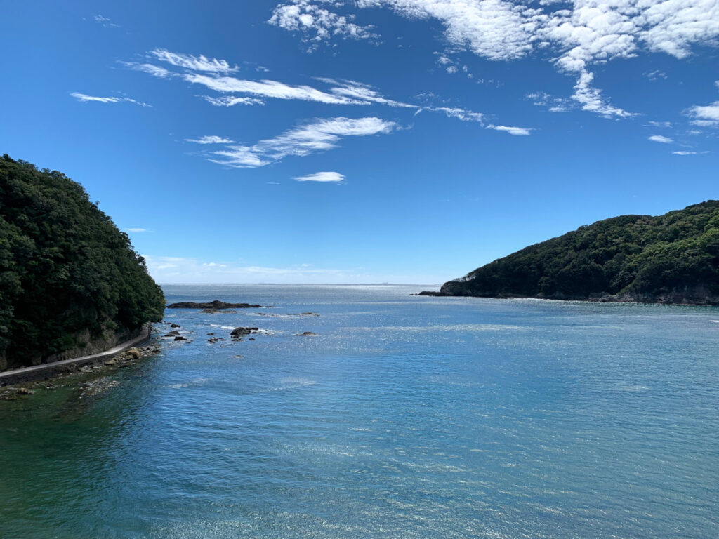 下田海浜ホテルから見える景色